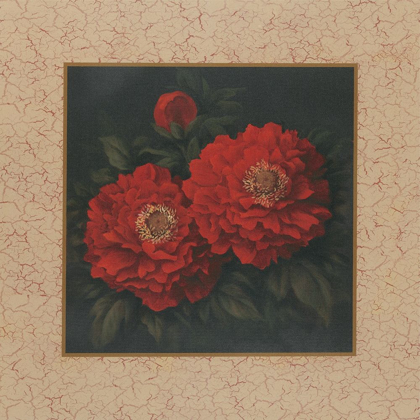 Picture of RED CARNATION WITH BORDER II