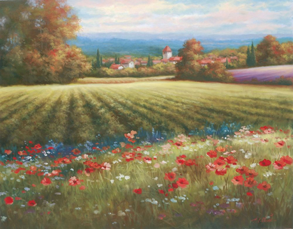 Picture of FIELDS OF PROVENCE I
