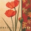 Picture of RED POPPY DAMASQUE