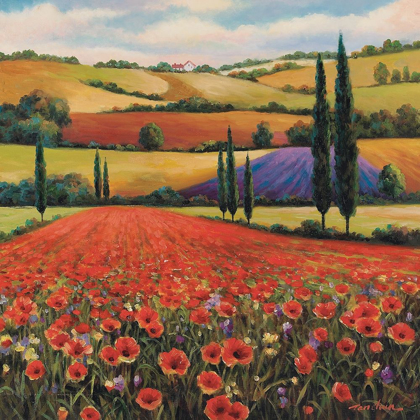 Picture of FIELDS OF POPPIES II