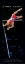 Picture of COMMITMENT POLE VAULT