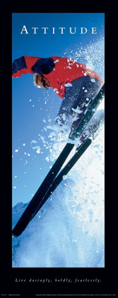 Picture of ATTITUDE SKIER