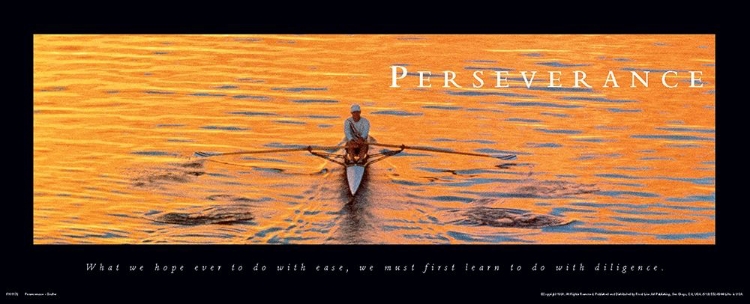 Picture of PERSEVERANCE SCULLER
