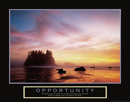 Picture of OPPORTUNITY SEASHORE