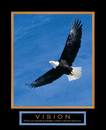 Picture of VISION EAGLE IN FLIGHT
