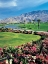 Picture of GOLF IN HEAVEN
