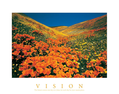 Picture of VISION - EDELWEISS FLOWERS