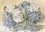 Picture of WHITE AND BLUE FLORAL