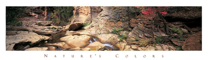 Picture of ROCK POND - NATURE