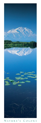 Picture of MOUNTAIN AND LILYPADS