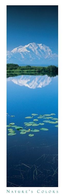 Picture of MOUNTAIN AND LILYPADS