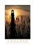 Picture of PURPOSE - LIGHTHOUSE IN REEDS