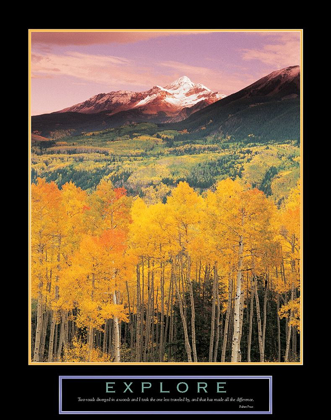 Picture of EXPLORE - MOUNTAIN AND ASPEN TREES