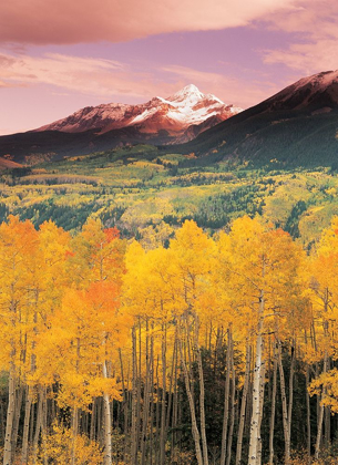 Picture of MOUNTAIN VALLEY