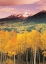 Picture of MOUNTAIN VALLEY