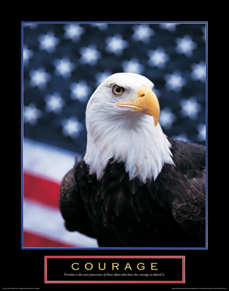 Picture of COURAGE - EAGLE AND FLAG