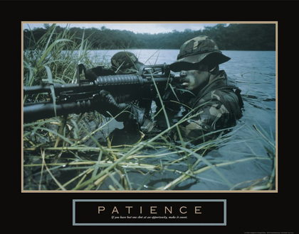 Picture of PATIENCE - SNIPER