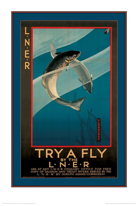 Picture of TRY A FLY