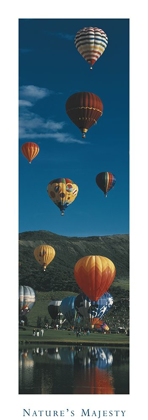 Picture of BALLOONS - NATURES MAJESTY
