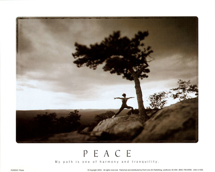 Picture of ZEN - PEACE