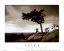 Picture of ZEN - PEACE