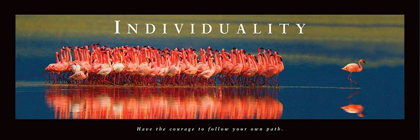 Picture of INDIVIDUALITY - FLAMINGOS