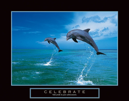 Picture of CELEBRATE - DOLPHINS