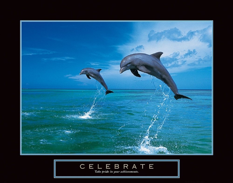 Picture of CELEBRATE - DOLPHINS