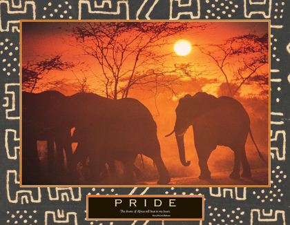 Picture of PRIDE - ELEPHANT AND SUN