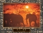 Picture of PRIDE - ELEPHANT AND SUN