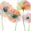Picture of SUMMER FIELDS I