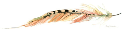 Picture of TAIL FEATHER IV