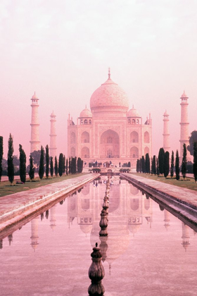 Picture of TAJ MAHAL IN PINK LIGHT