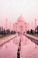 Picture of TAJ MAHAL IN PINK LIGHT