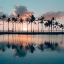 Picture of BIG ISLAND PALMS
