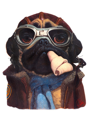 Picture of AVIATOR PUG