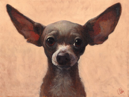 Picture of CHIHUAHUA