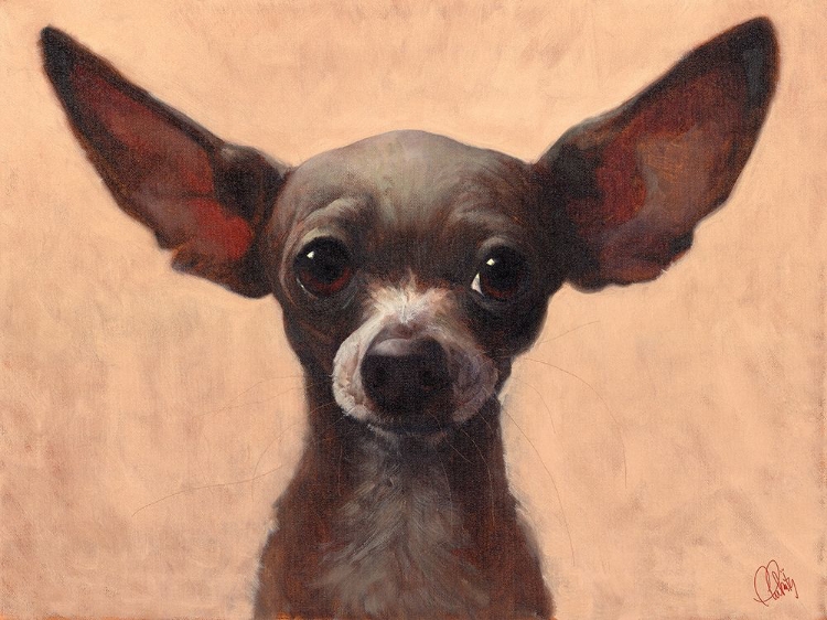 Picture of CHIHUAHUA