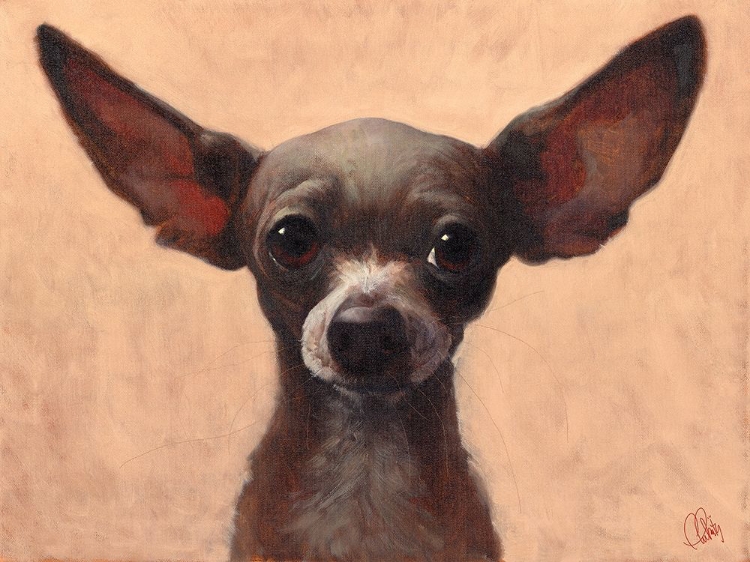 Picture of CHIHUAHUA