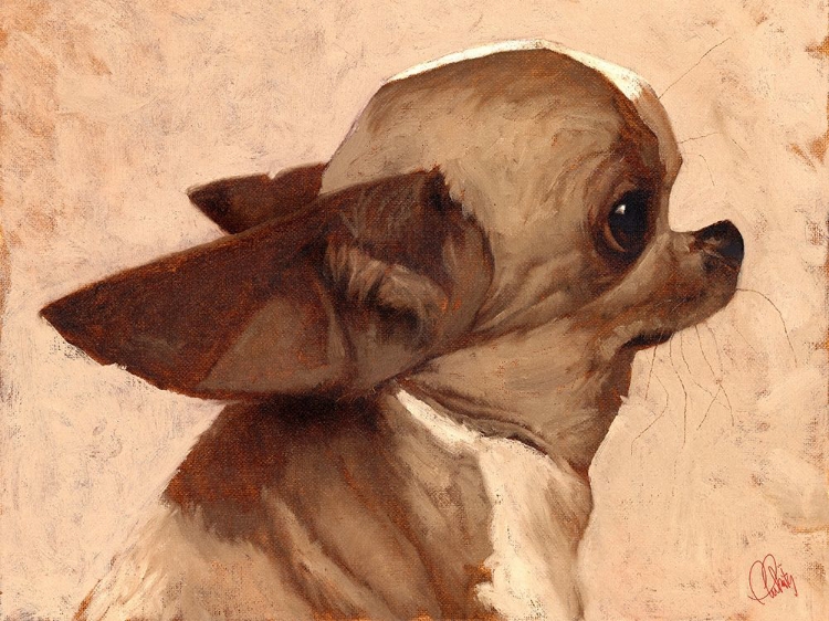 Picture of PROFILE-CHIHUAHUA
