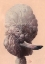 Picture of POODLE