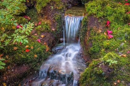 Picture of TRANQUILITY FALLS