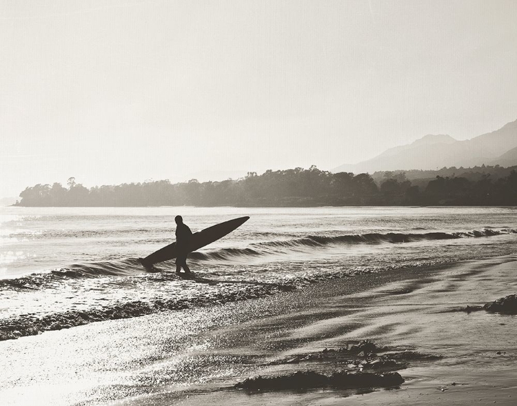 Picture of BW SURFER NO. 3