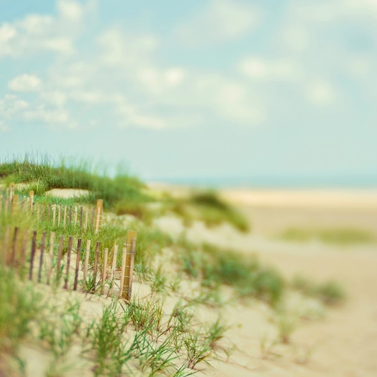 Picture of SAND DUNES