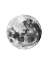 Picture of FULL MOON