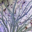 Picture of SPACE CANOPY II