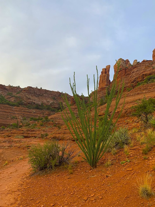 Picture of SEDONA I