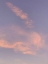 Picture of SUNSET V