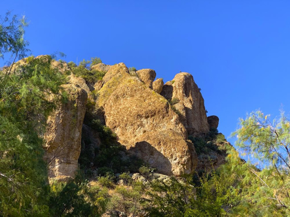 Picture of DESERT ROCK FACE I