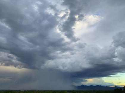 Picture of RAIN STORM I